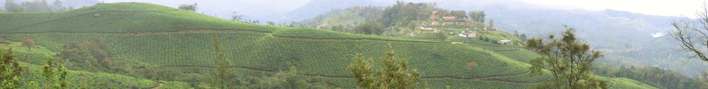 Kerala Highlands & Backwaters Tour — 5 Nights 6 Days