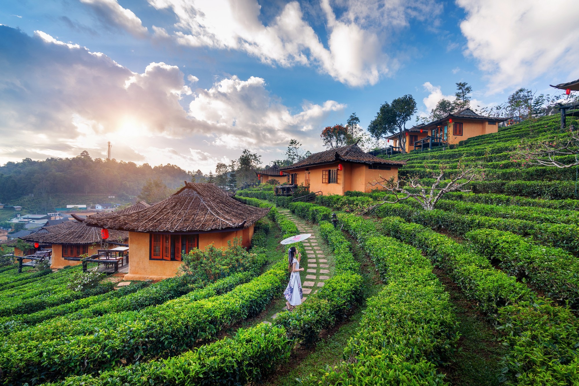 Vietnam Tour from Coimbatore: Hanoi to Ho Chi Minh in 7 Nights — Visa, Route & Cost